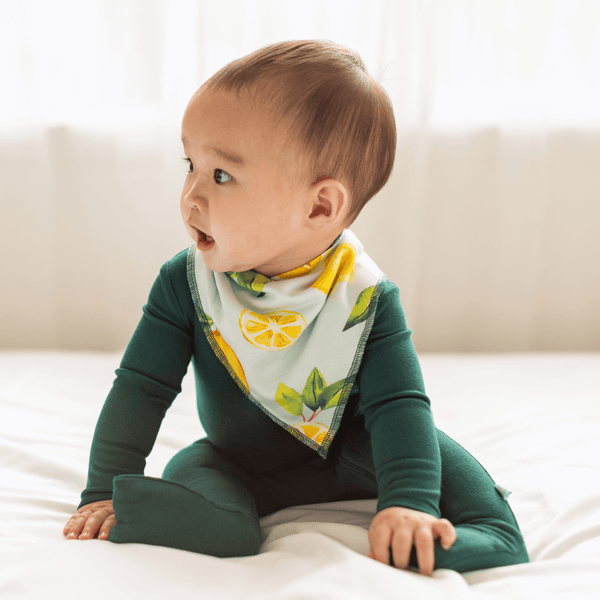 Dream Bandana Bib