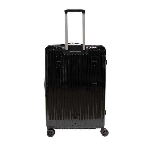 Check-In Luggage