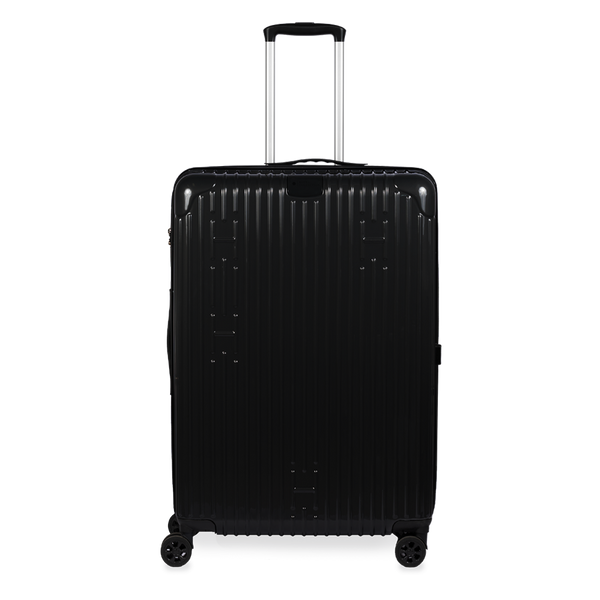 Check-In Luggage