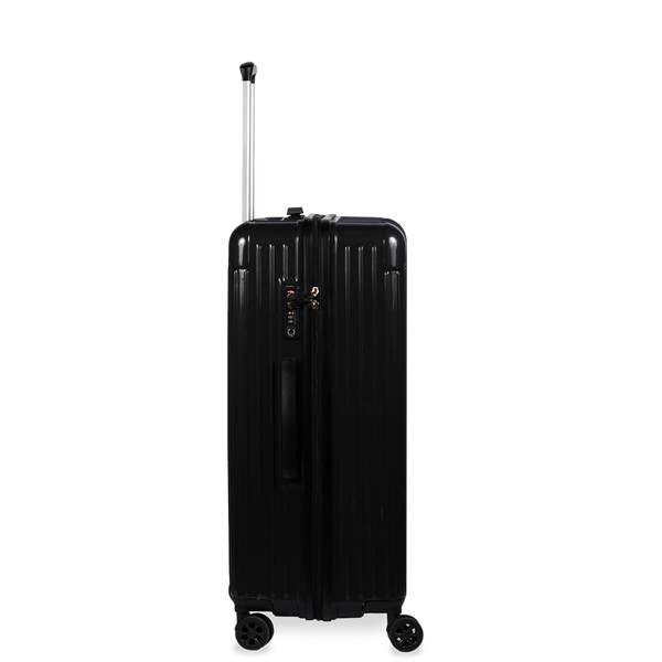 Check-In Luggage