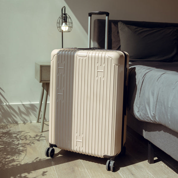 Check-In Luggage