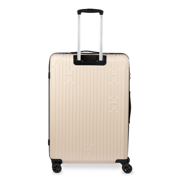 Check-In Luggage