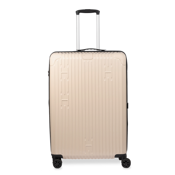Check-In Luggage