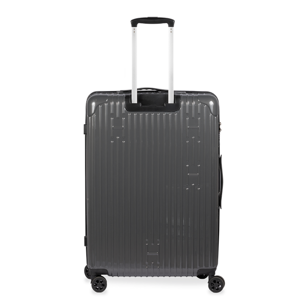 Check-In Luggage
