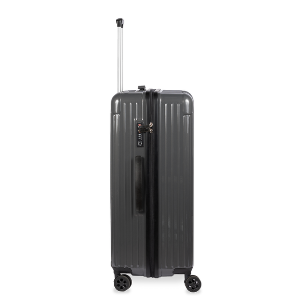 Check-In Luggage