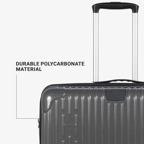Check-In Luggage