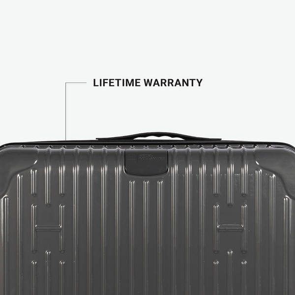 Check-In Luggage