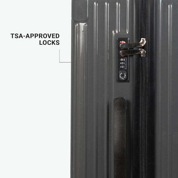 Check-In Luggage