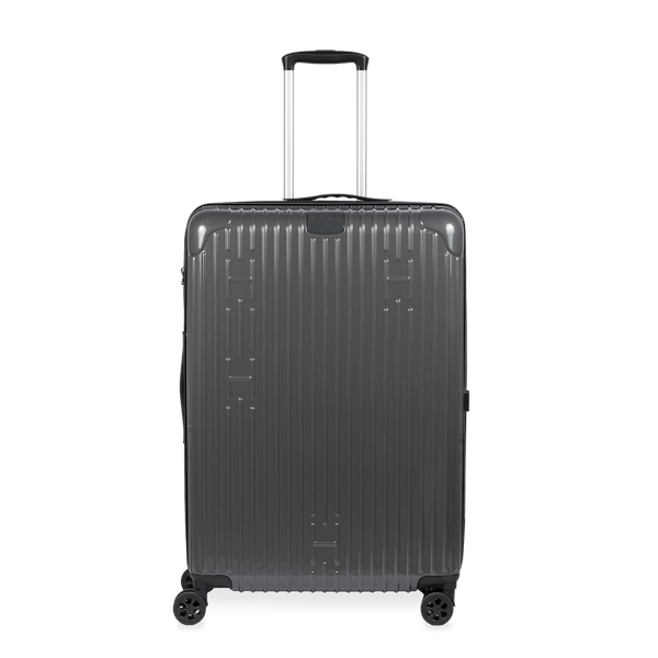 Check-In Luggage