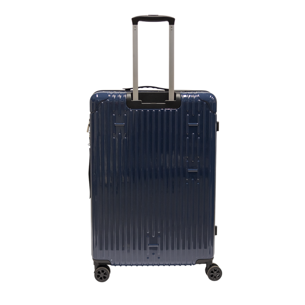 Check-In Luggage