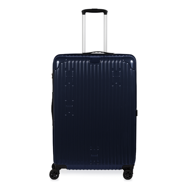 Check-In Luggage