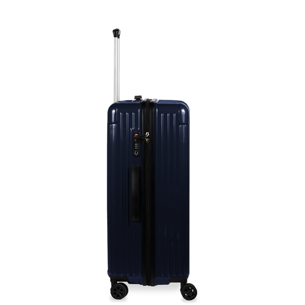 Check-In Luggage