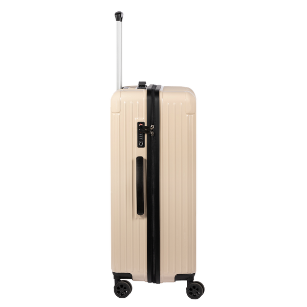 Check-In Luggage